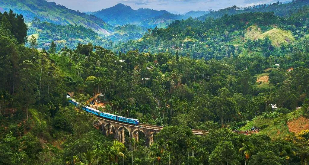 A blue train driving through a forest on a raised track