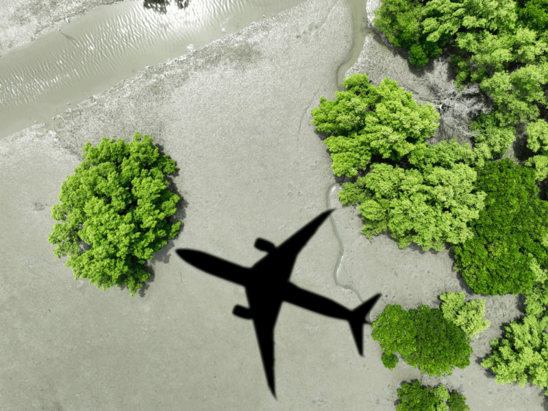 SAF can reduce flying emissions by up to 80%