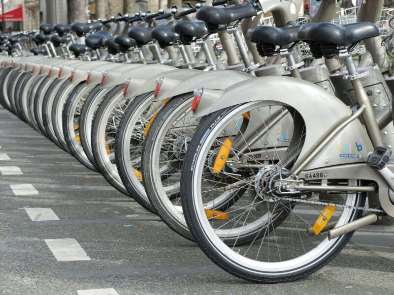 Back wheels of bikes all lined up
